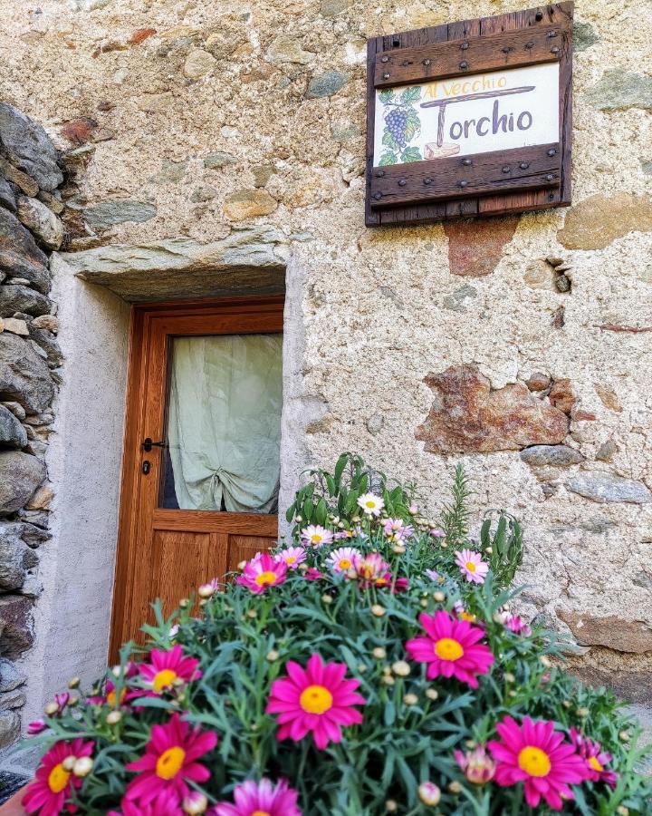 B&B Al Vecchio Torchio Settimo Vittone Exterior foto